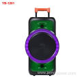 Wholesale price big power karaoke portable trolley speaker with mic YB-1201